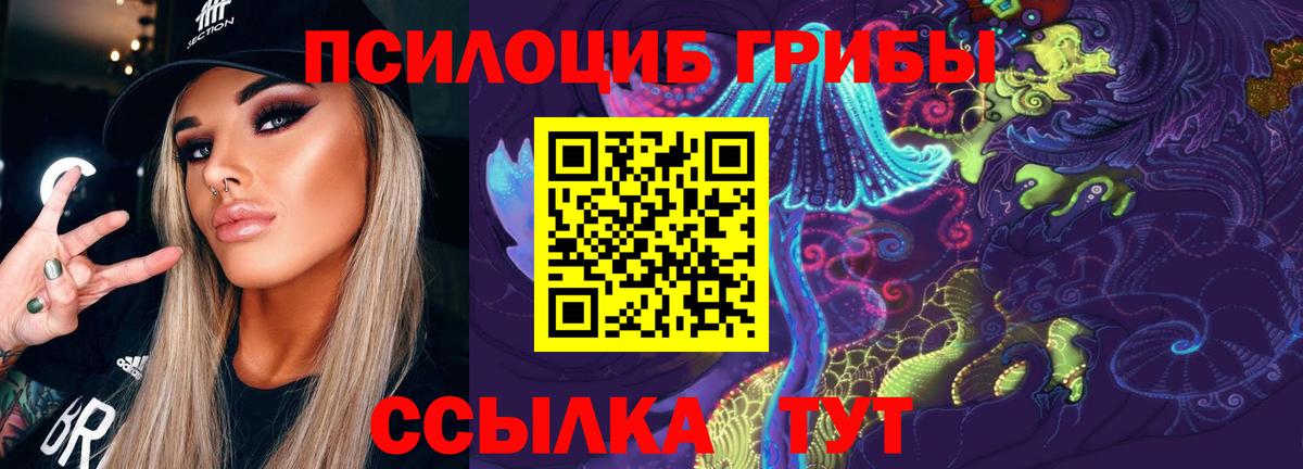 Галлюциногенные грибы Psilocybe  Галлюциногенные грибы MAGIC MUSHROOMS  Юрга  Вход с VPN 