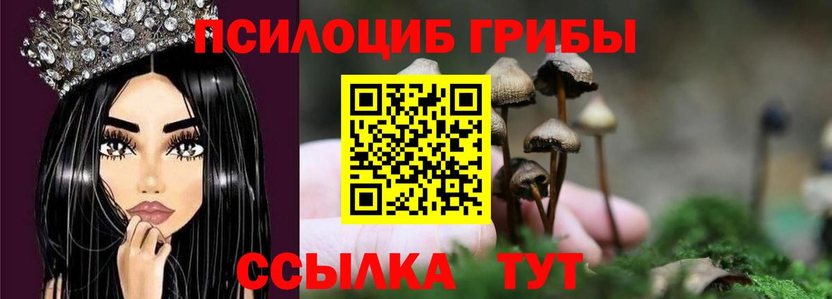 Галлюциногенные грибы мухоморы Юрга